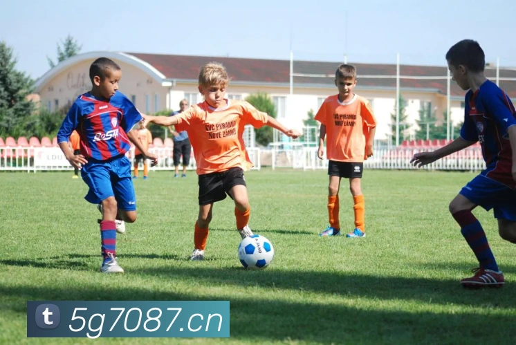 星空app官方登录入口网址平台生态图